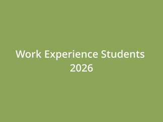Work Experience 2026