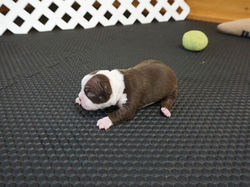 DSC00570