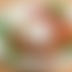 ナシレマの画像