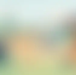 How to Socialize a Mini Poodle Puppy Well