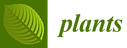 162w5sd6.png