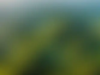 Unraveling the Mystery: The Exciting Latest Update on One Piece Anime