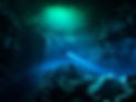 Cavern, Scuba Dive, Snorkel, cancun, go diving, Cozumel, Playa Del carmen, Tulum, Cenotes, cenote ex
