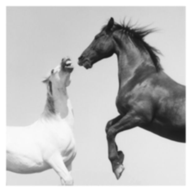 Fine-art print Untamed Spirit II