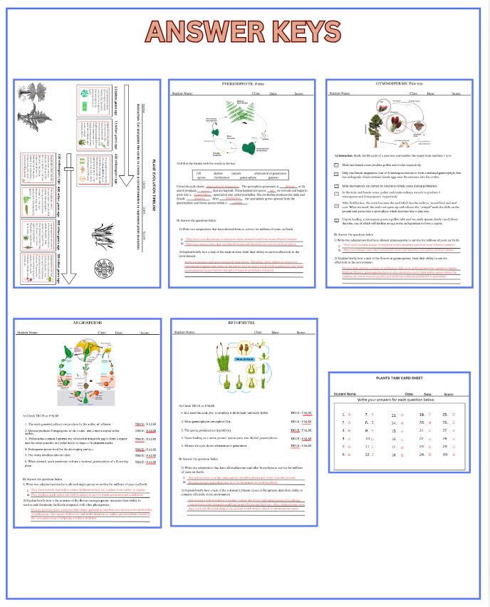 Thumbnail: Plant Life Cycle and Evolution Multiple Activities & Worksheets