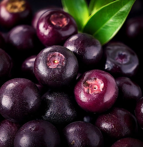 Firefly closeup of açai berries 20651.jpg