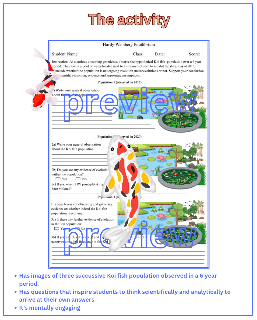 Thumbnail: Hardy Weinberg Equilibrium Koi Fish Activity