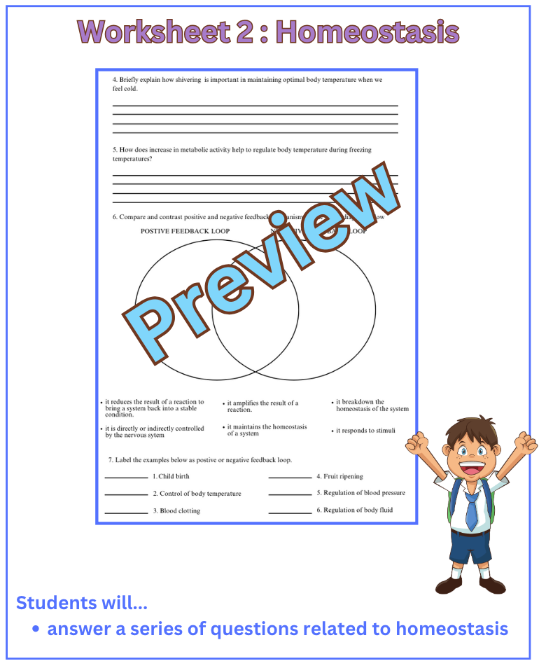 Thumbnail: Homeostasis Worksheets and Reading Activity