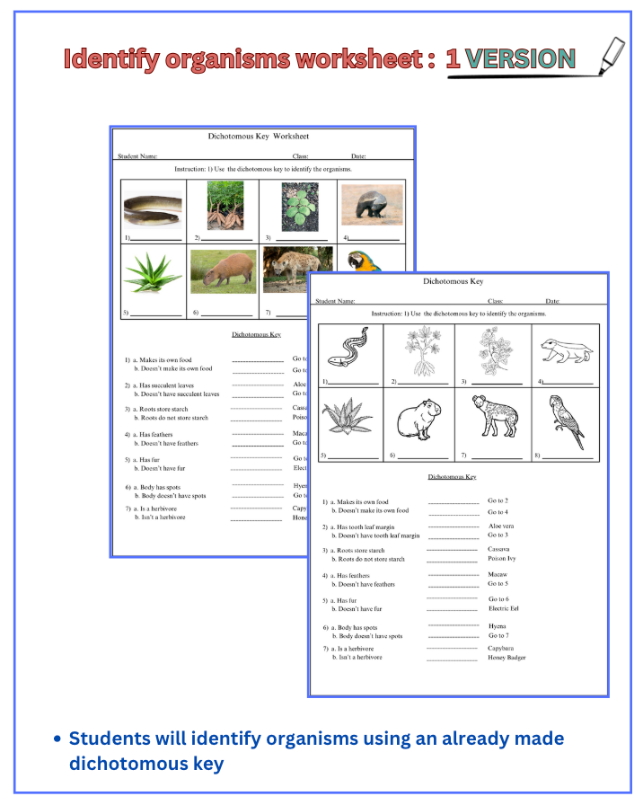 Thumbnail: Dichotomous Keys Worksheets