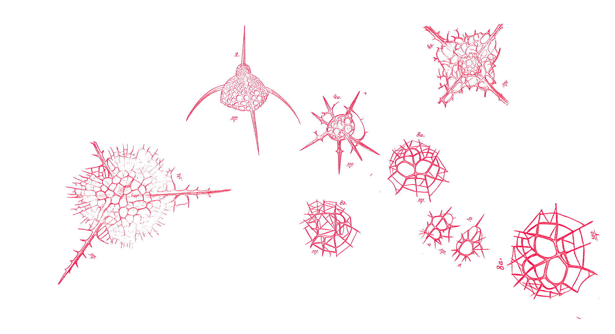 Book talk | Thomas F. McDow: 'Buying Time: Debt and Mobility in the Western Indian Ocean'