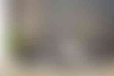 Welke bank past bij jouw woonkamer: vorm en indeling