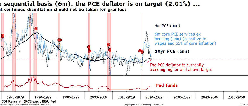 dormant or dodo.jpeg