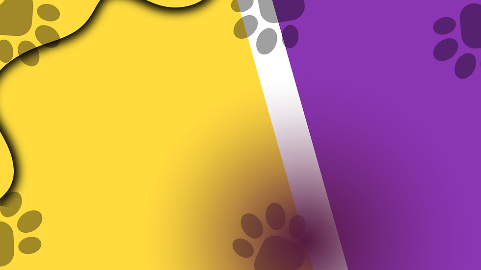 fundo site Saudepet (Site)3 (Site) (3).png