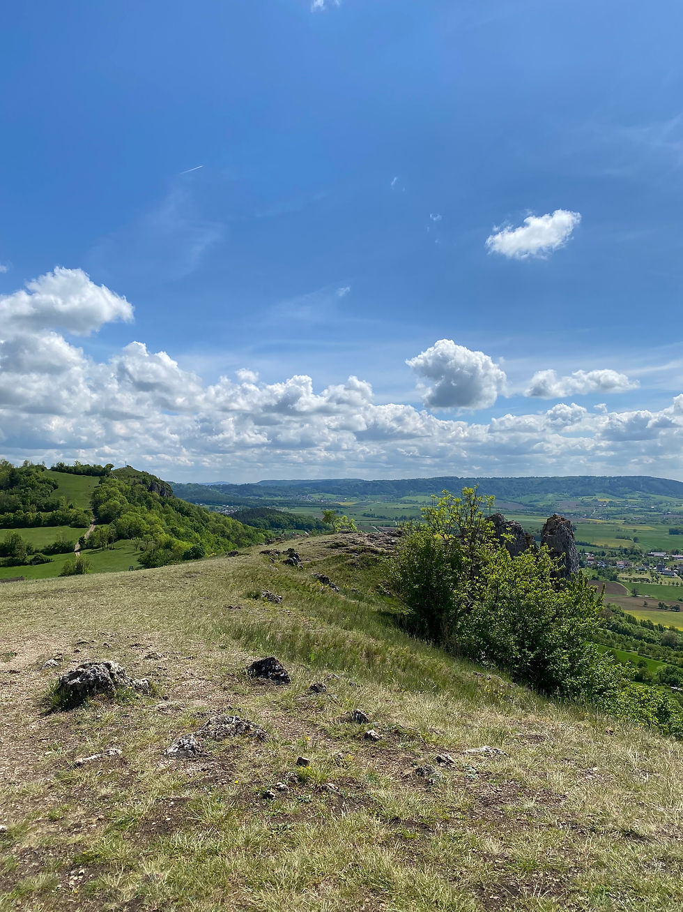 Felsformationen an der Westkante des Walberla.