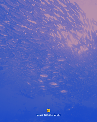 Zodica-Fische.png