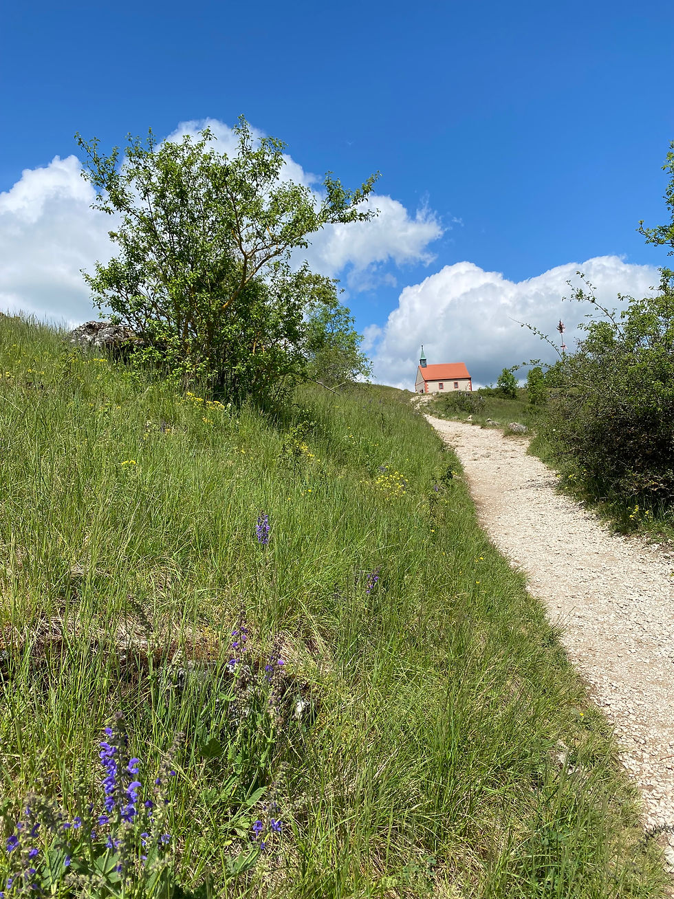 Auf dem Weg zum Walberla mit Kapelle.