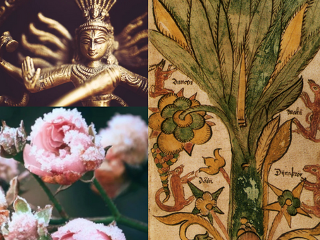 Archetypen, Mythos, Urbilder als innere Landkarten