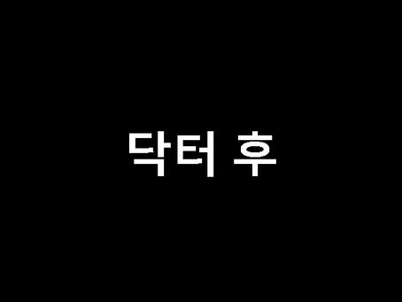 닥터 후, 가장 인간적인 시간여행자