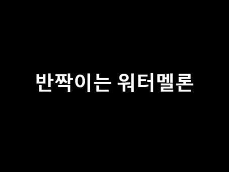 반짝이는 워터멜론