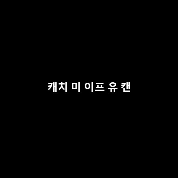 캐치 미 이프 유 캔