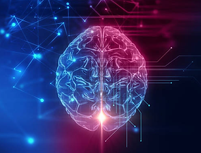 illustration d'un cerveau