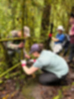 Voyage communautaire Costa Rica 2025 - Collège Charlemagne