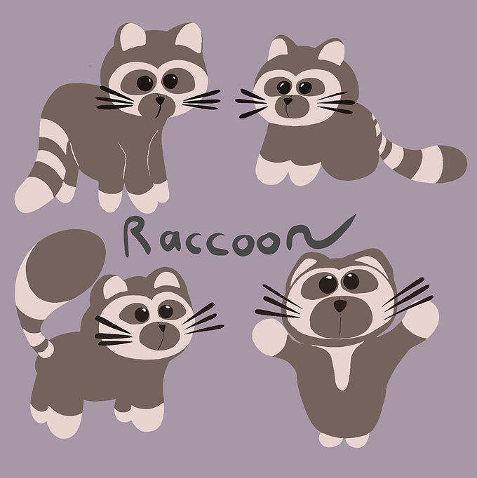 racoon.JPG