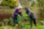 two older ladies enjoying gardening
