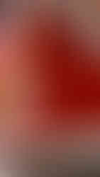 Festival Mandorlo in Fiore Agrigento