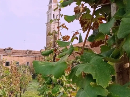 San Francesco della Vigna, Venezia