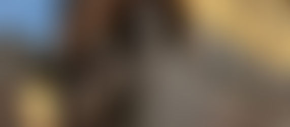 Suvereto, centro storico