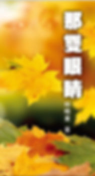 越南林曉東詩集『那雙眼睛』