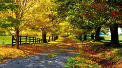 eb1daac2142da9d291026c439c728b05