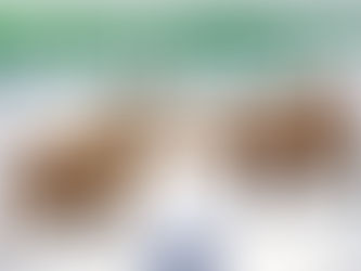 【量化分析】引伸波幅的重要啟示(蔡嘉民)