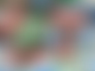 點知全球幾時股災II(蔡嘉民)