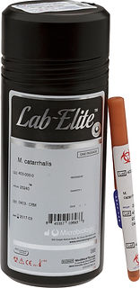 Lab-Elite_No Background.png.jpeg