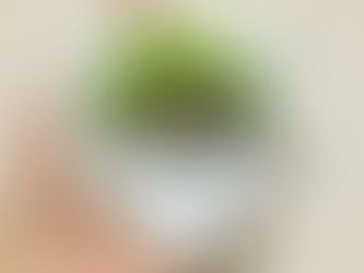 6月のおりがみ
