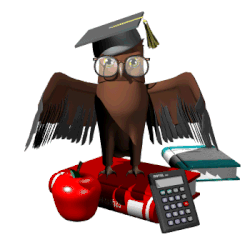 image (1).gif