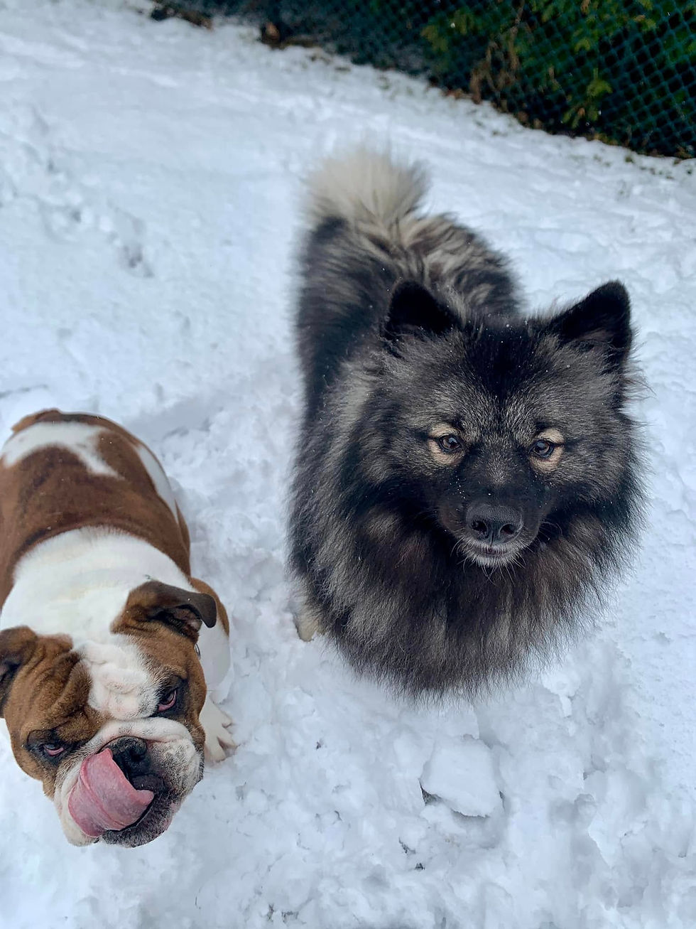 469353900_10161043984907203_6956010948758303054_n