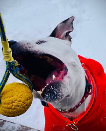 Oscar, juste sur le target