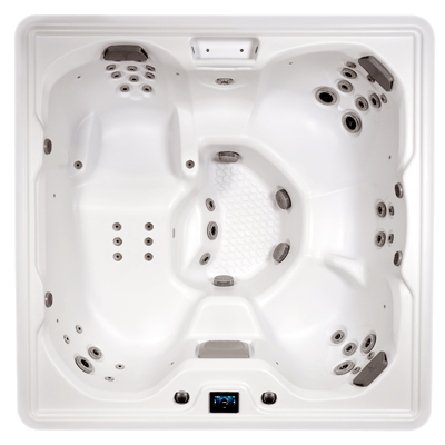 viking animated gif feb 2026.gif