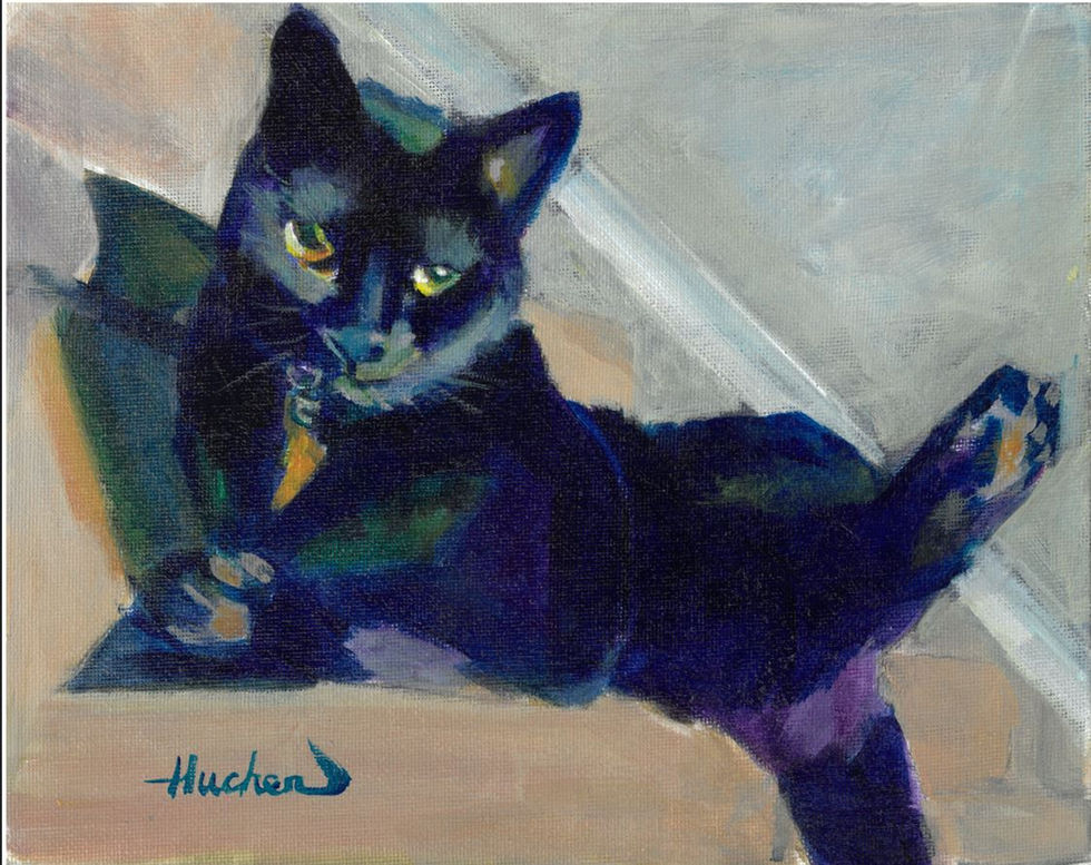 Nox - black cat (Sold)