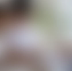 Loans 101. Everything You’re Too Afraid to Ask.