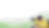 YYYY.png