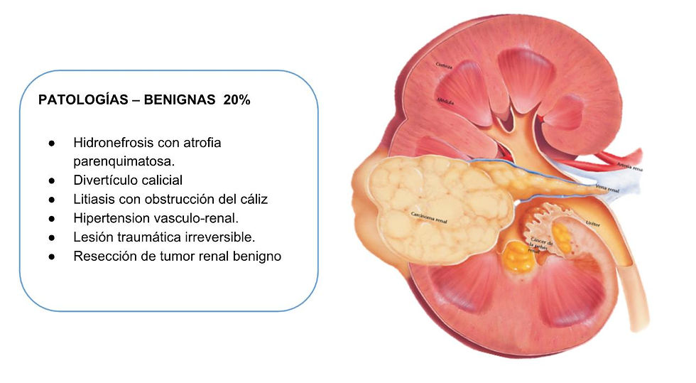 Patologías Benignas