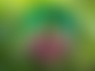 Vibrations Sacrées : Comment le Tambour Chamanique Transforme les Âmes!