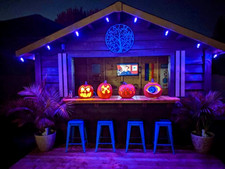 10' x 10' Pool Bar Shed