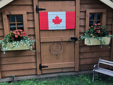 10' x 10' Low Gable Shed