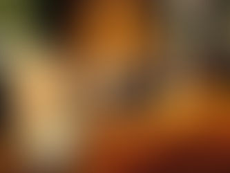 Release-Cyrier-Rice-and-landowners-protect-our-land-and-water