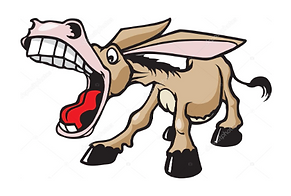 a donkey with mouth open